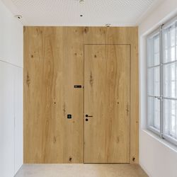 Veneer door Oak Rustic Nature