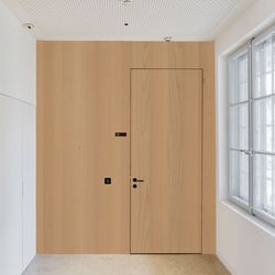 Veneer door Beech