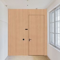 Veneer door Elm