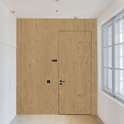 Veneer door Knotty Oak