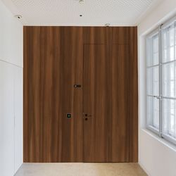 Veneer door Larch smoked