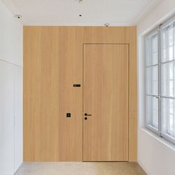 Veneer door Larch