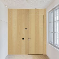 Veneer door Ash Figured