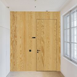 Veneer door Peeled Pine