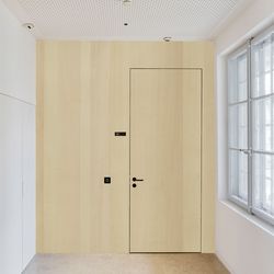 Veneer door Sycamore