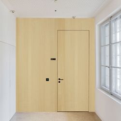 Veneer door Ash