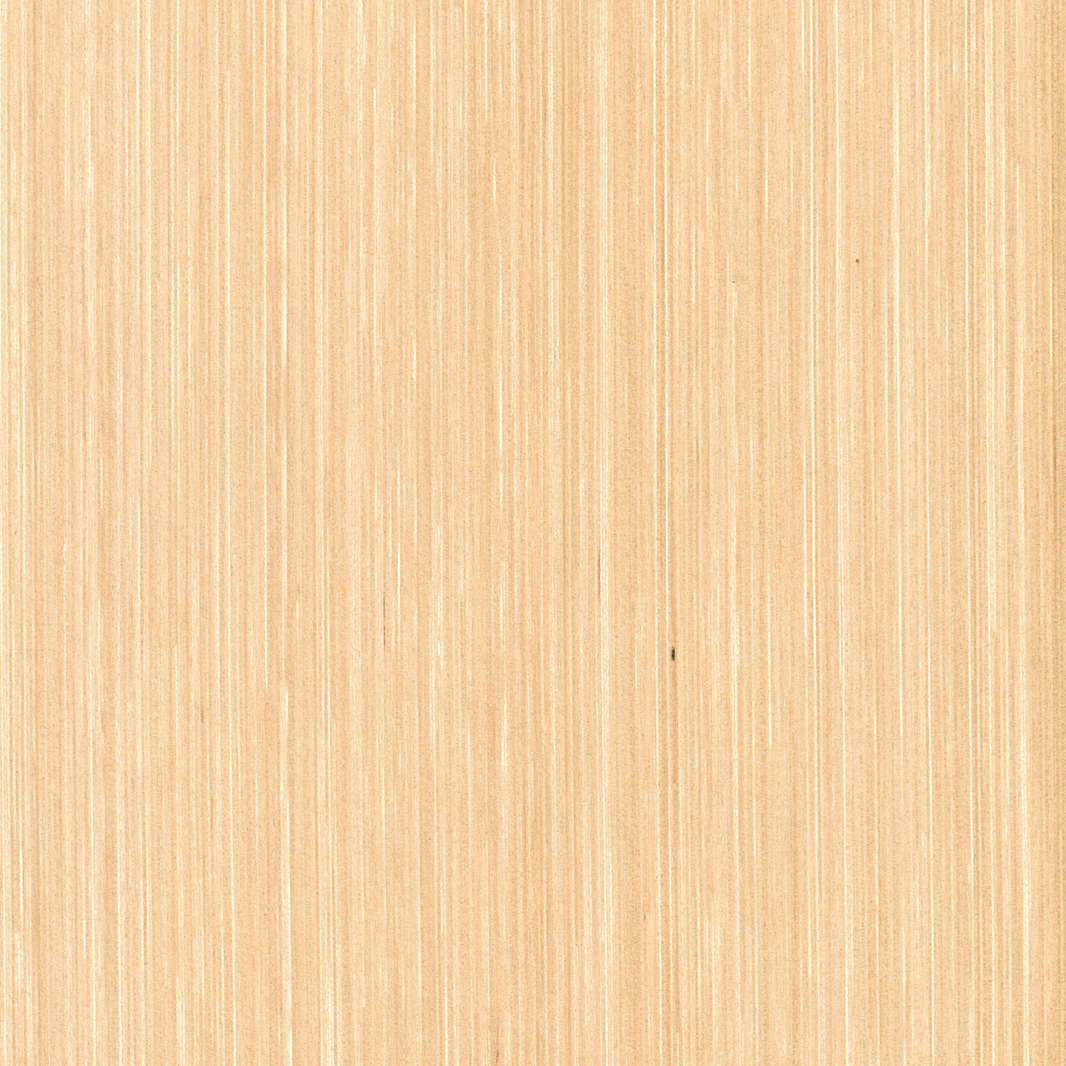 Veneer Express Design Birch nature