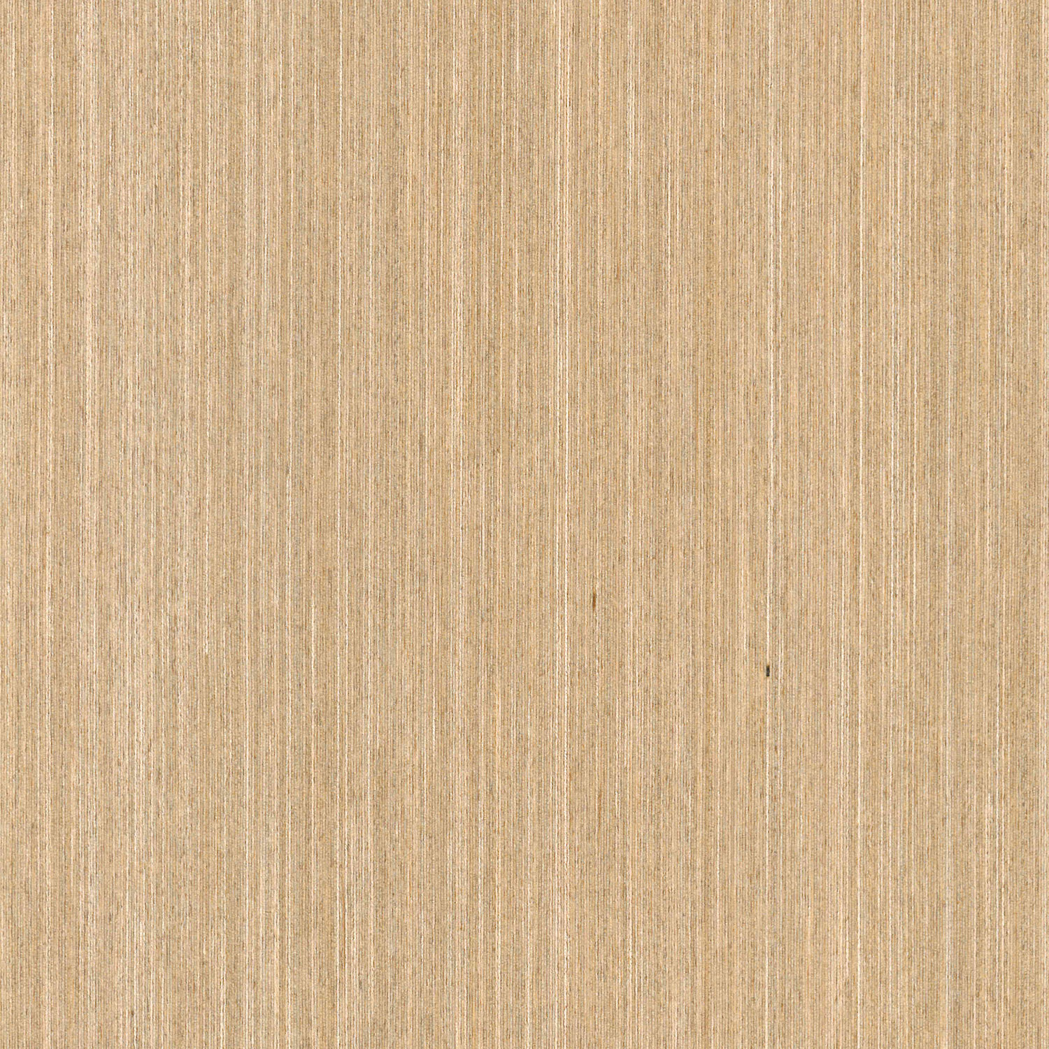 Veneer Express Design Birch silver