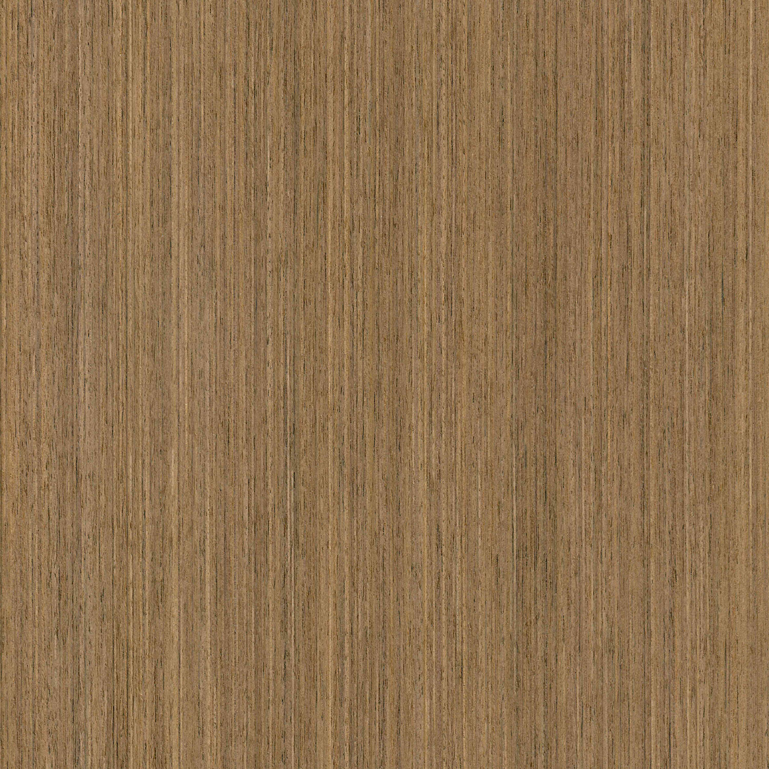 Veneer Express Design Walnut american