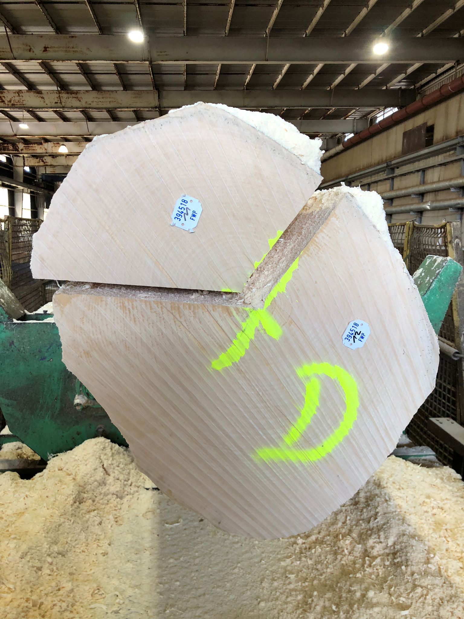 maple figured in the veneer factory Veneer maple figured