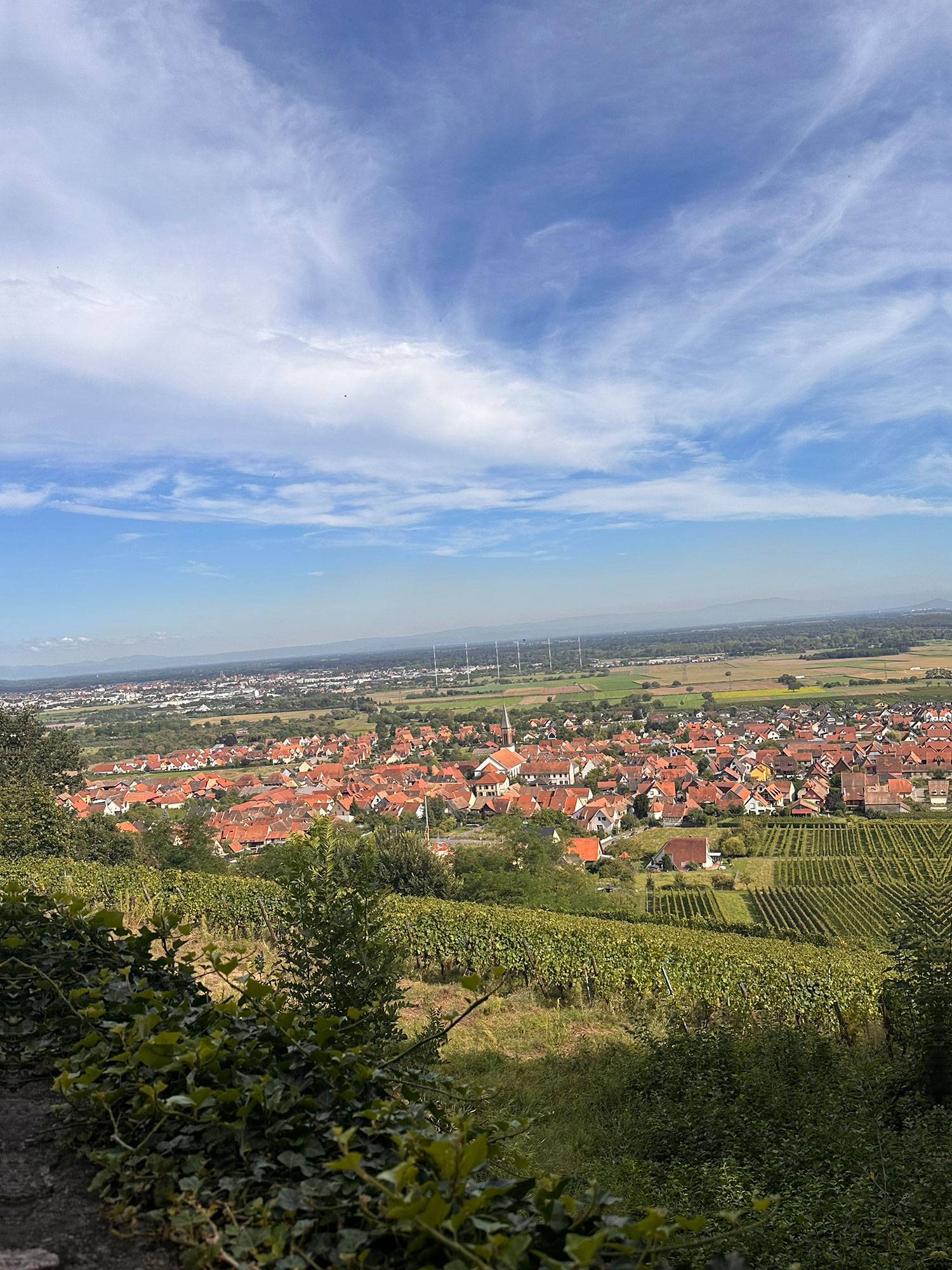 Roser team outing 2024 Roser team outing 2024