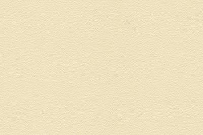 Swiss Krono Schichtstoff Uni 0,8mm U522 PE Beige