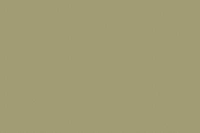 Swiss Krono Decor Uni 19mm U4439 VL Pistachio Green (25/Pal.)