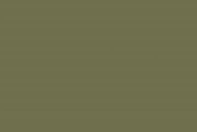 Swiss Krono Decor Uni 19mm U2508 VL Olive (25/Pal.)